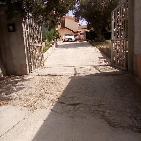 알게로 Casa Di Agnese 게스트하우스 외부 사진